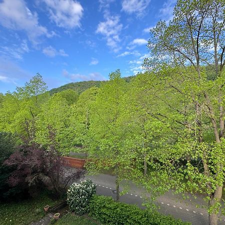 Apartment Villa Elisa Bad Kreuznach Dış mekan fotoğraf