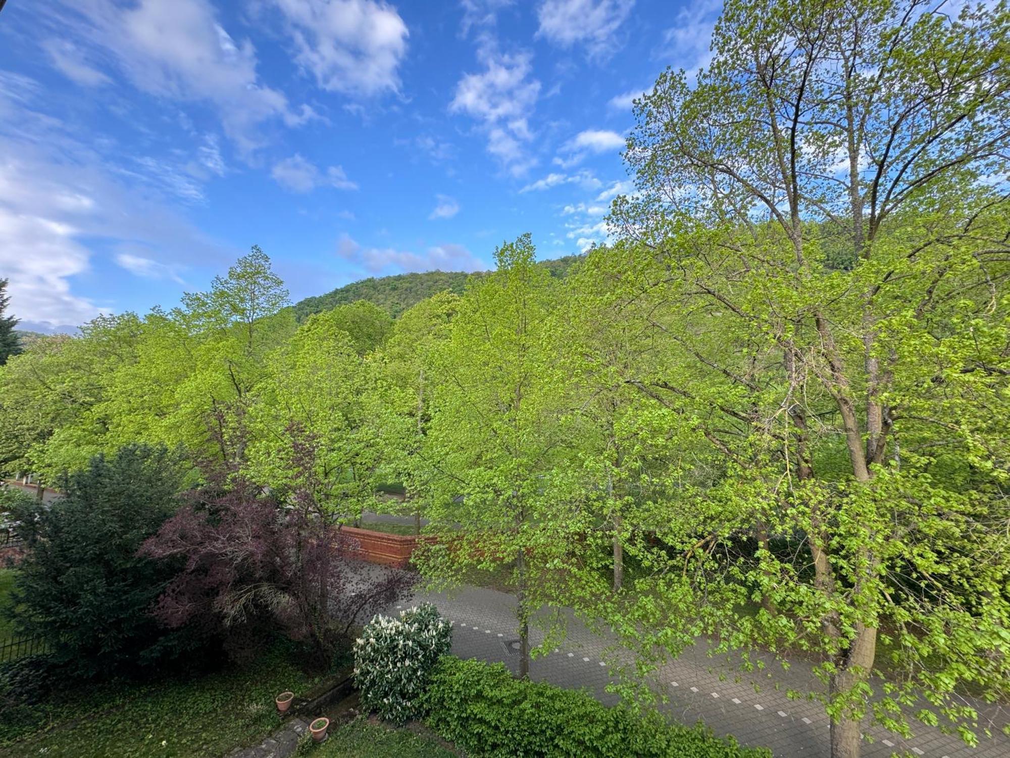 Apartment Villa Elisa Bad Kreuznach Dış mekan fotoğraf