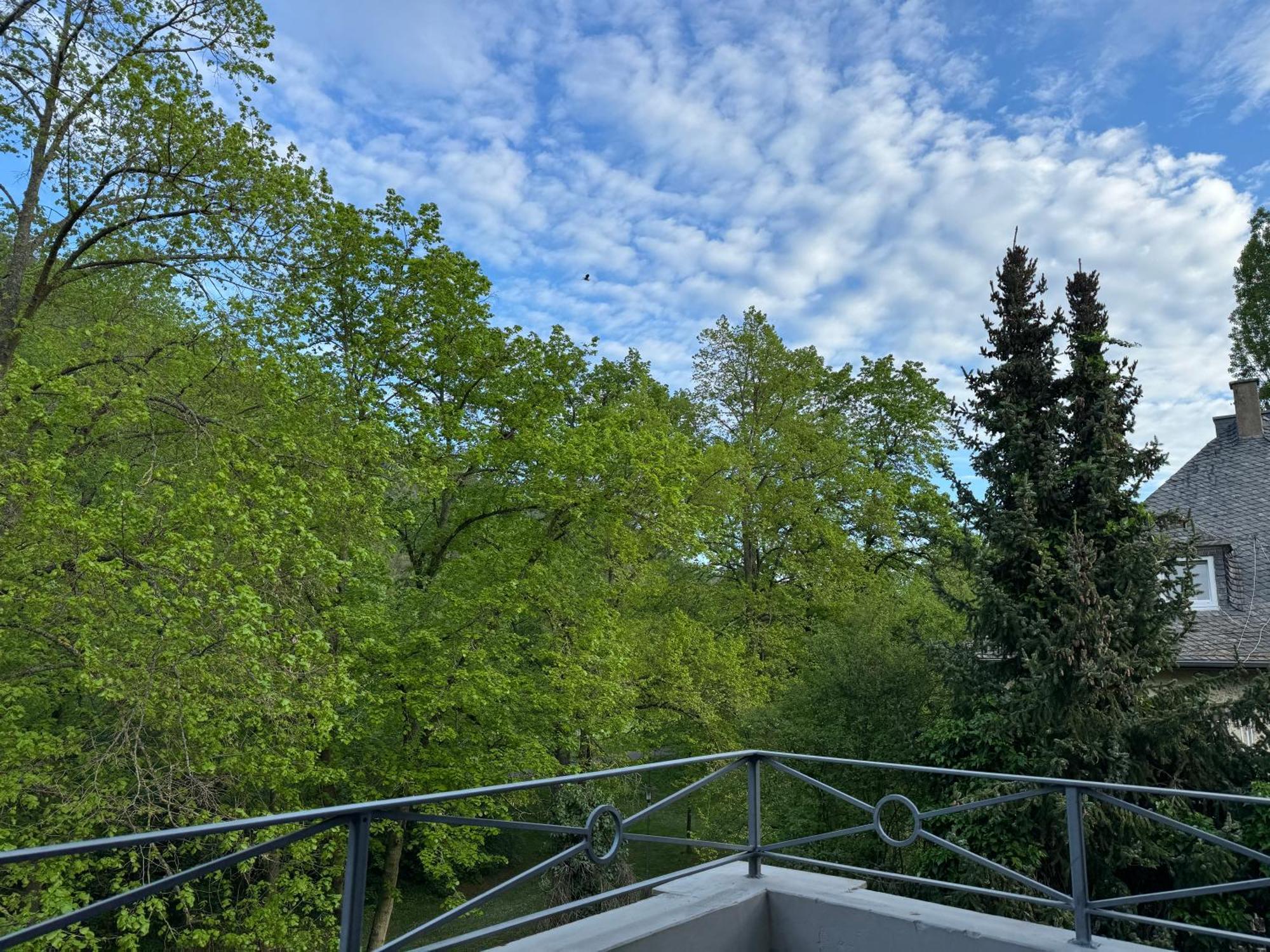 Apartment Villa Elisa Bad Kreuznach Dış mekan fotoğraf